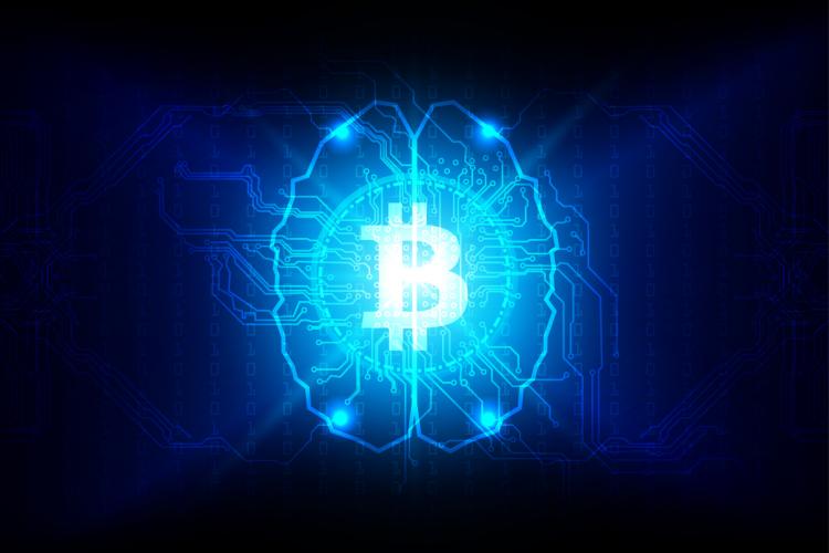 crypto brain